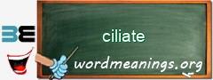 WordMeaning blackboard for ciliate